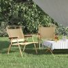 Camping Chairs 2 pcs  21.3"x16.9"x23.2" Oxford Fabric